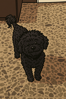 MyPetPortrait™ – Custom Digital Pet Portrait of Your Dog or Cat